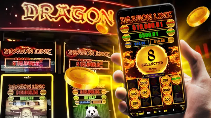 Spinplus Bingo Mobile App