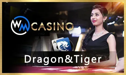Spinplus Bingo Bonuses